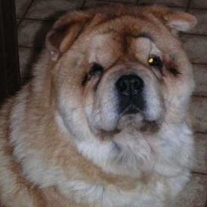 Meet your Posher, Ali